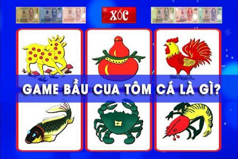 Mobi66 có chấp nhận cá cược trực tiếp trên điện thoại di động không? - Mobi66