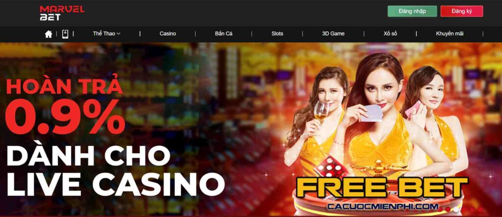 Trang web phát trực tiếp cắm trại 009Bet - 009Bet