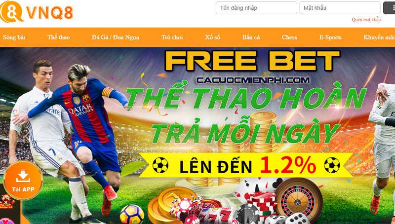 Mô tả về Chương trình Phần thưởng 50000 trên trang web Vokbet Gaming - Vokbet