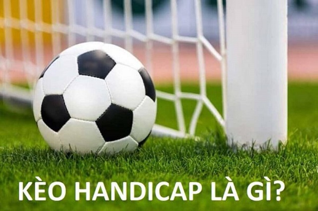 Tính năng trò chơi cấp độ F168 - F168