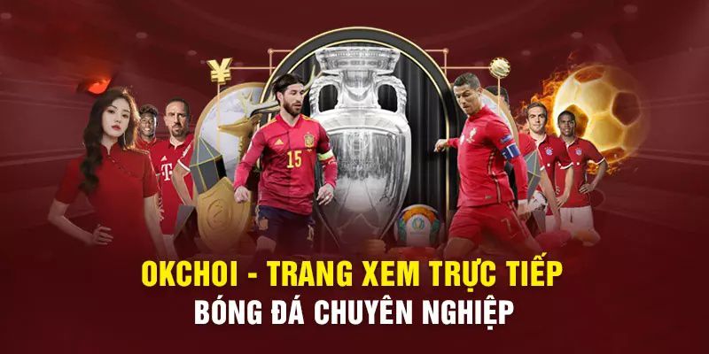 Đánh giá của thành viên nền tảng 6M88 - 6M88