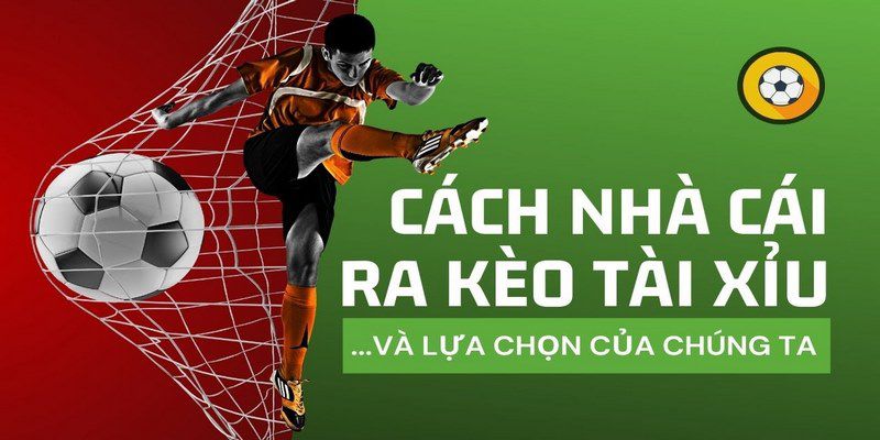 Bước cuối cùng để mở khóa Mibet 2026 - Mibet