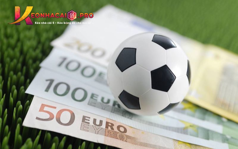 Một trang web đẳng cấp Bet88, một nền tảng trực tuyến bạn không thể bỏ lỡ - Bet88