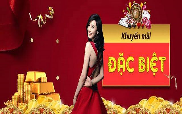 Sản phẩm tư vấn thông tin Ko66 - Ko66