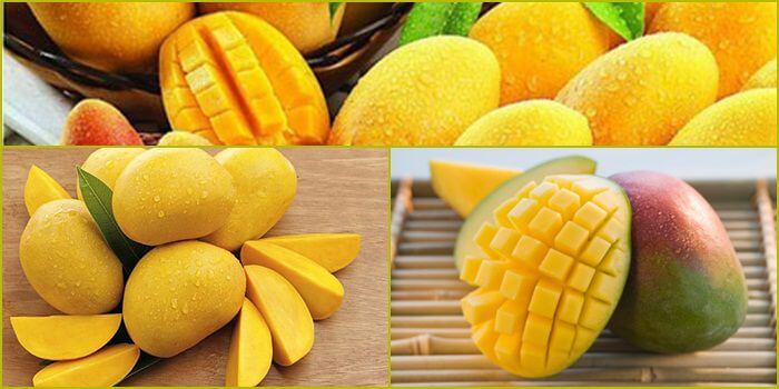 Hãy tham gia trang web xổ số Ko66 được thiết kế dành riêng cho người mới bắt đầu - Ko66
