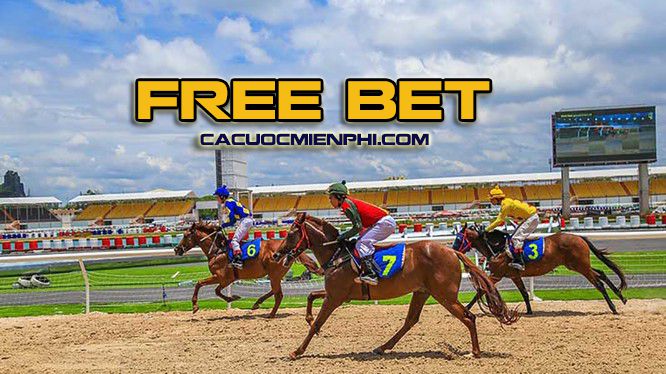 Tôi cần biết gì khi nhận được thông tin quảng cáo về xếp hạng Bigbet88? - Bigbet88