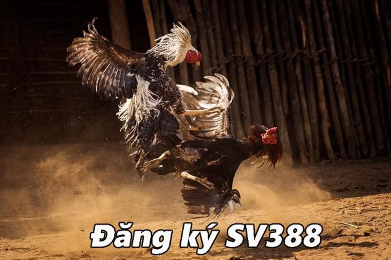 Cách tham gia trò chơi máy đánh bạc Pk88 - Pk88