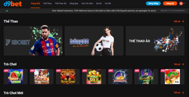 Ưu đãi mới nhất: D9bet đang tặng 100000 đô la! - D9bet