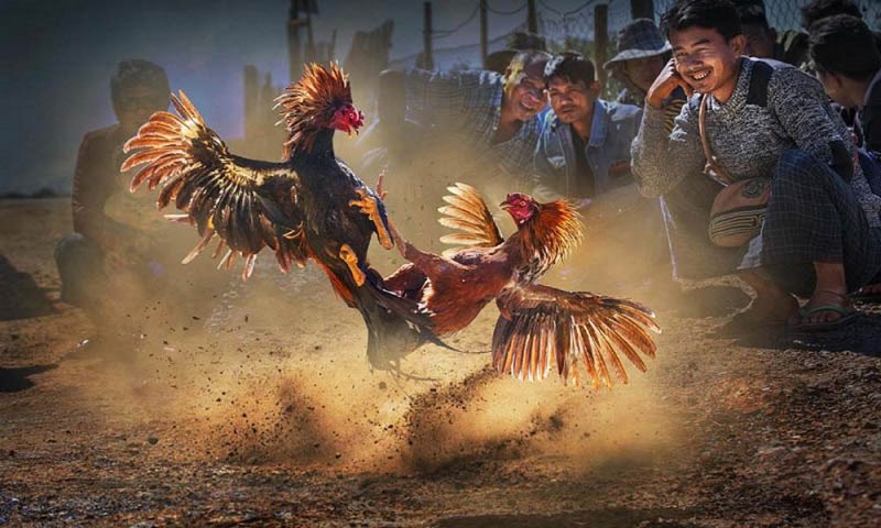 Đừng bỏ lỡ những thông tin khuyến mãi mới nhất từ 999Bet! - 999Bet